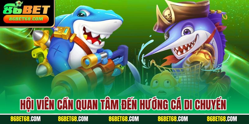 Hội viên cần quan tâm đến hướng cá di chuyển 